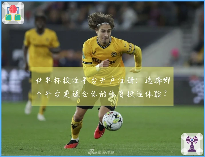 世界杯投注平台开户注册：选择哪个平台更适合你的体育投注体验？