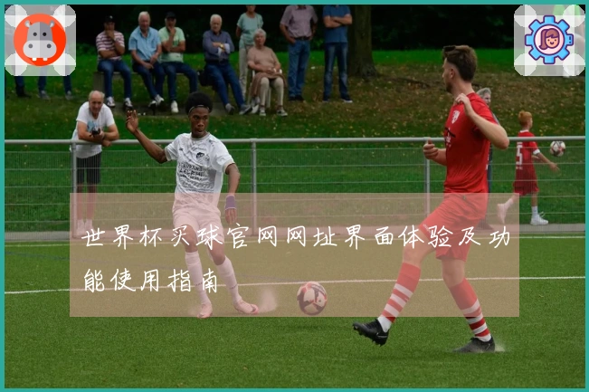 世界杯买球官网网址界面体验及功能使用指南