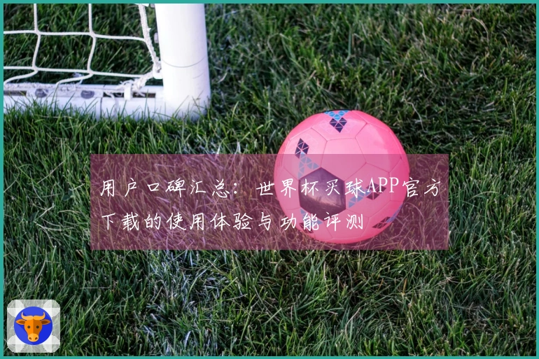用户口碑汇总：世界杯买球APP官方下载的使用体验与功能评测