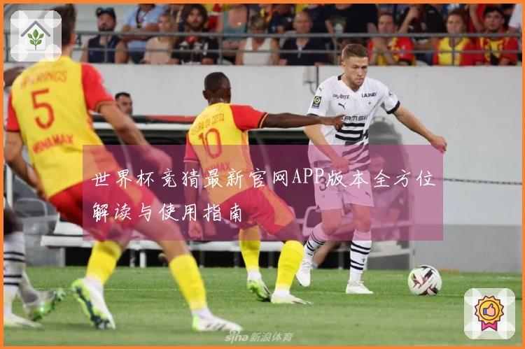 世界杯竞猜最新官网APP版本全方位解读与使用指南