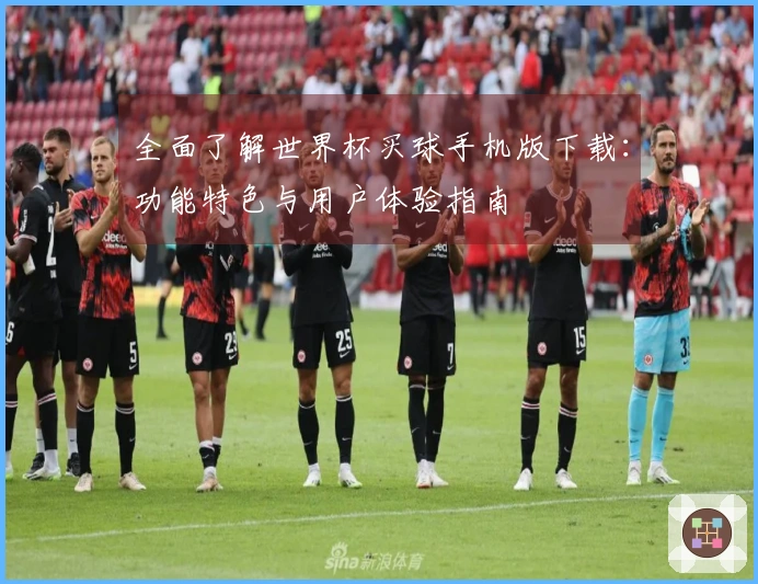 全面了解世界杯买球手机版下载：功能特色与用户体验指南