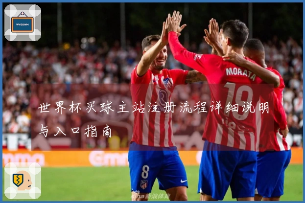 世界杯买球主站注册流程详细说明与入口指南