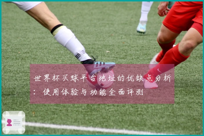 世界杯买球平台地址的优缺点分析：使用体验与功能全面评测