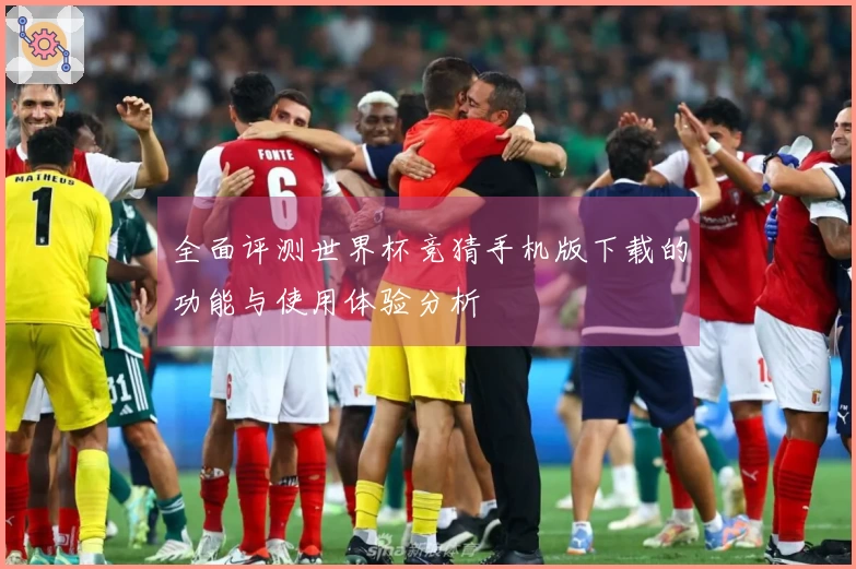 全面评测世界杯竞猜手机版下载的功能与使用体验分析