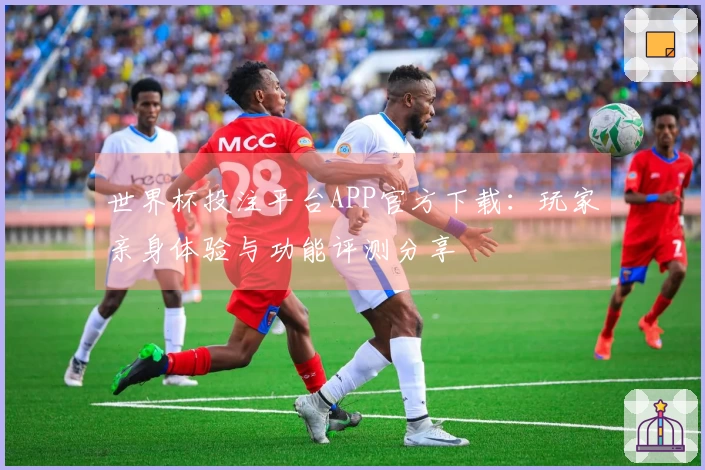 世界杯投注平台APP官方下载：玩家亲身体验与功能评测分享