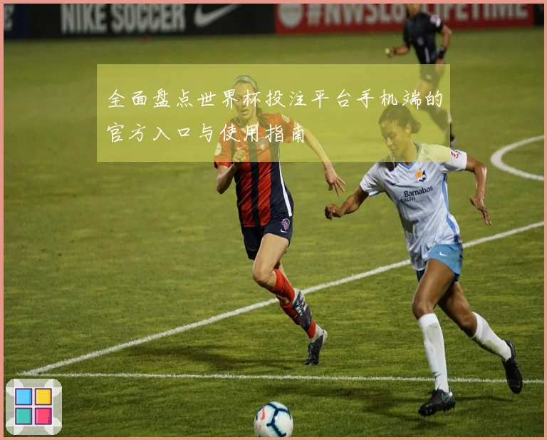 全面盘点世界杯投注平台手机端的官方入口与使用指南