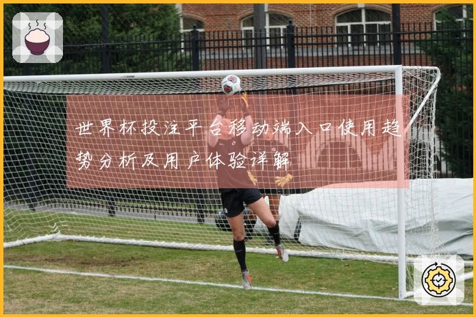 世界杯投注平台移动端入口使用趋势分析及用户体验详解