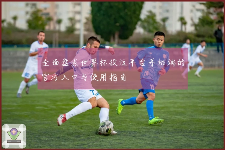 全面盘点世界杯投注平台手机端的官方入口与使用指南