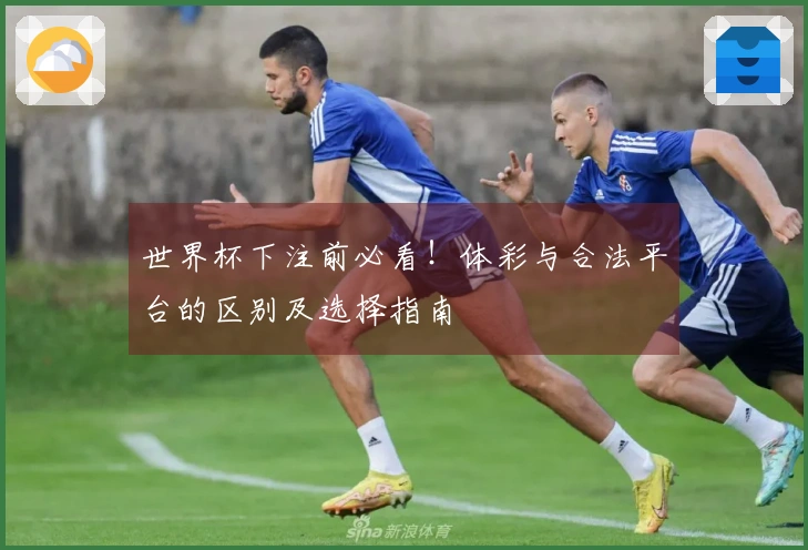 世界杯下注前必看！体彩与合法平台的区别及选择指南