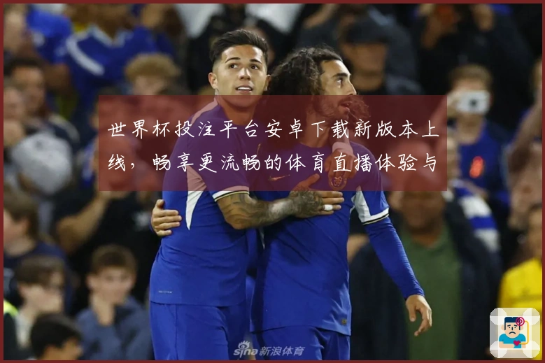 世界杯投注平台安卓下载新版本上线，畅享更流畅的体育直播体验与功能优化