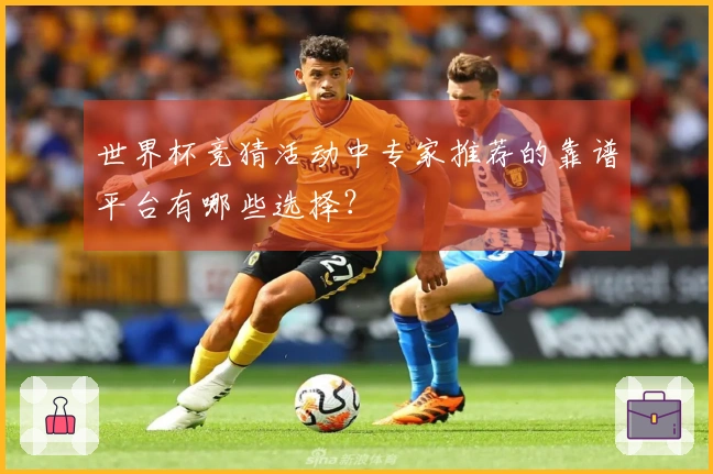 世界杯竞猜活动中专家推荐的靠谱平台有哪些选择？
