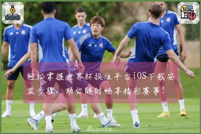 轻松掌握世界杯投注平台iOS下载安装步骤，助你随时畅享精彩赛事！