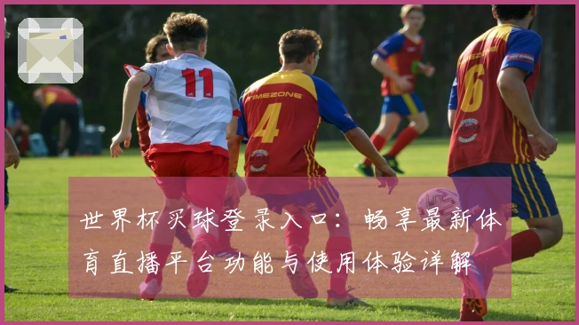 世界杯买球登录入口：畅享最新体育直播平台功能与使用体验详解